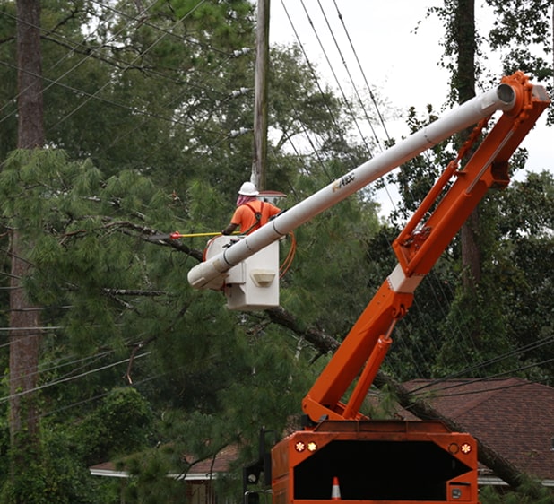 electricity-supply-img